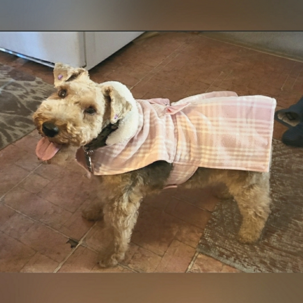 Play On Woof Wear Pink Plaid Dog Coat Large
